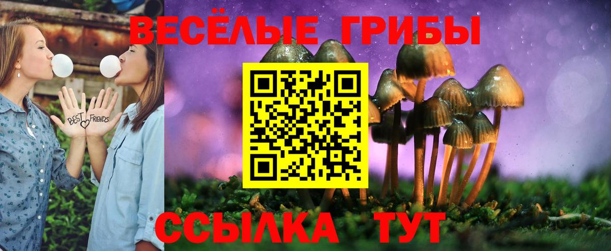 Мефедрон   КОКАИН  Энгельс  Вход с VPN  Гашиш  Каннабис 